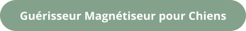 Guérisseur Magnétiseur pour Chiens