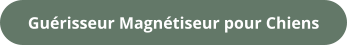 Guérisseur Magnétiseur pour Chiens
