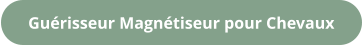 Guérisseur Magnétiseur pour Chevaux