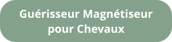 Guérisseur Magnétiseur pour Chevaux