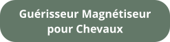 Guérisseur Magnétiseur pour Chevaux