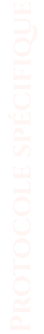 Protocole spécifique