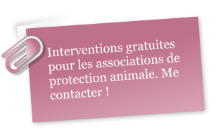 Interventions gratuites pour les associations de protection animale. Me contacter !