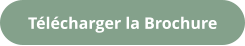 Télécharger la Brochure